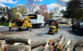 Best Mulching Services  in Hwatha, IA